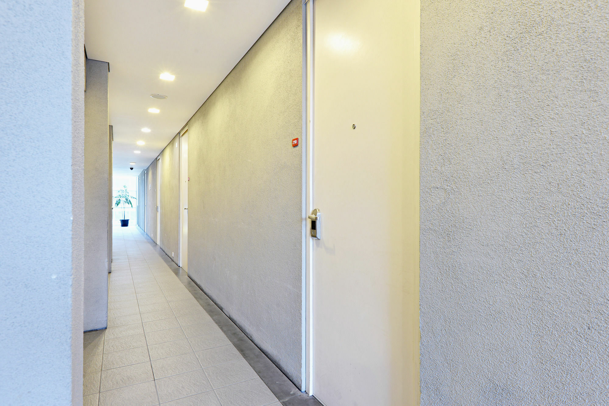Zen Rooms Halimun Palasari Bandung Exterior foto